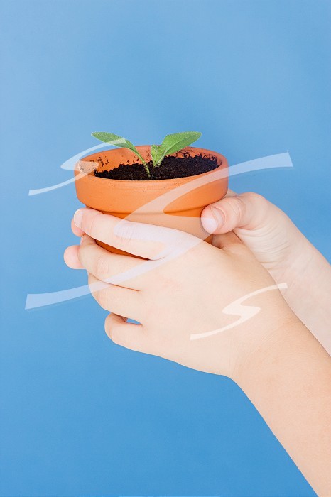Child holding a plant pot