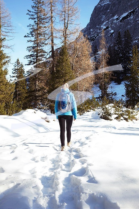 Rear view of young woman hiking through mountain snow, Austria
