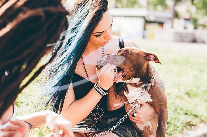 Young women with dyed blue hair playing with pit bull terrier in urban park