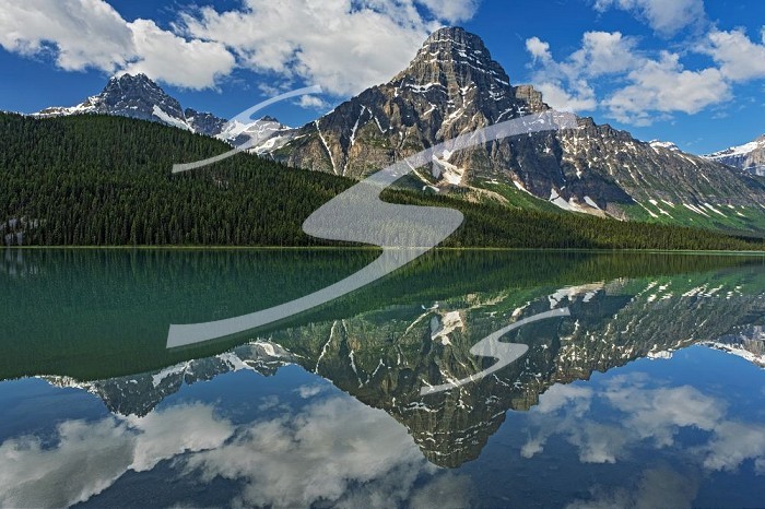 Mt. Chephren reflected in Upper Waterfowl Lake Banff National Park Alberta Canada. Canada / Alberta