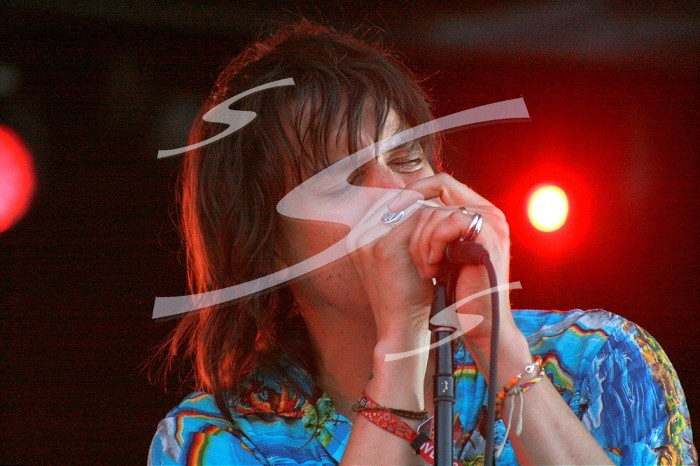 Governors Ball - The Strokes in concert