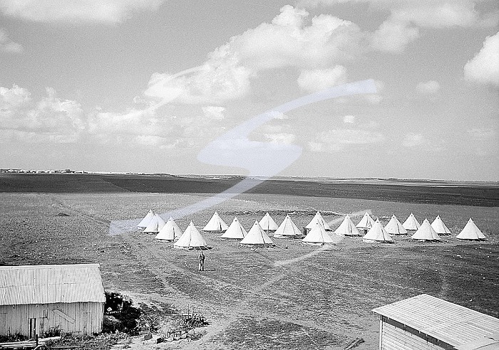 Beginning of a Jewish settlement, Qastina, Mandatory Palestine, G. Eric and Edith Matson Photograph Collection, February 26, 1940