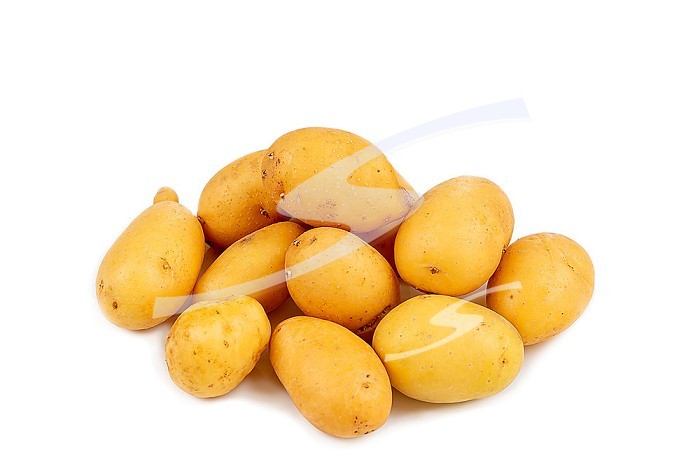 Pile of Grenaille early potatoes on a white background cut out