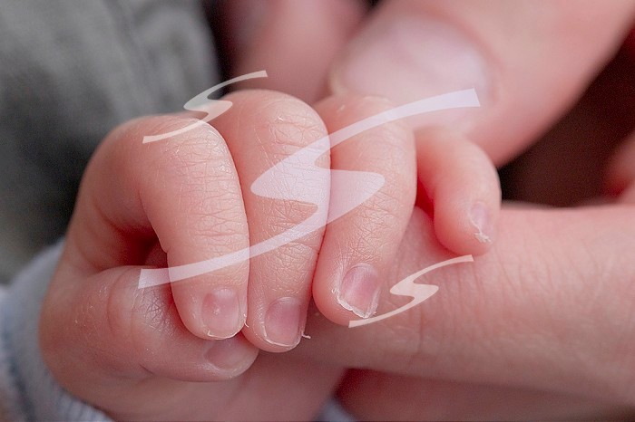 Neonatology service. Premature baby´s hand squeezing his mom´s finger.